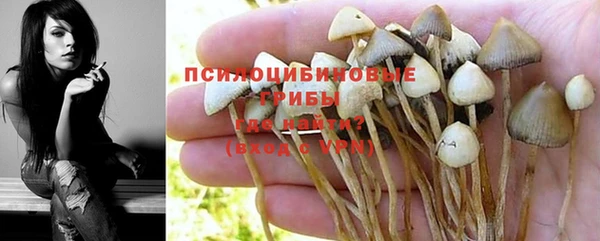 ешки Надым